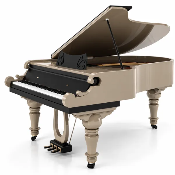 Musical Instrument
