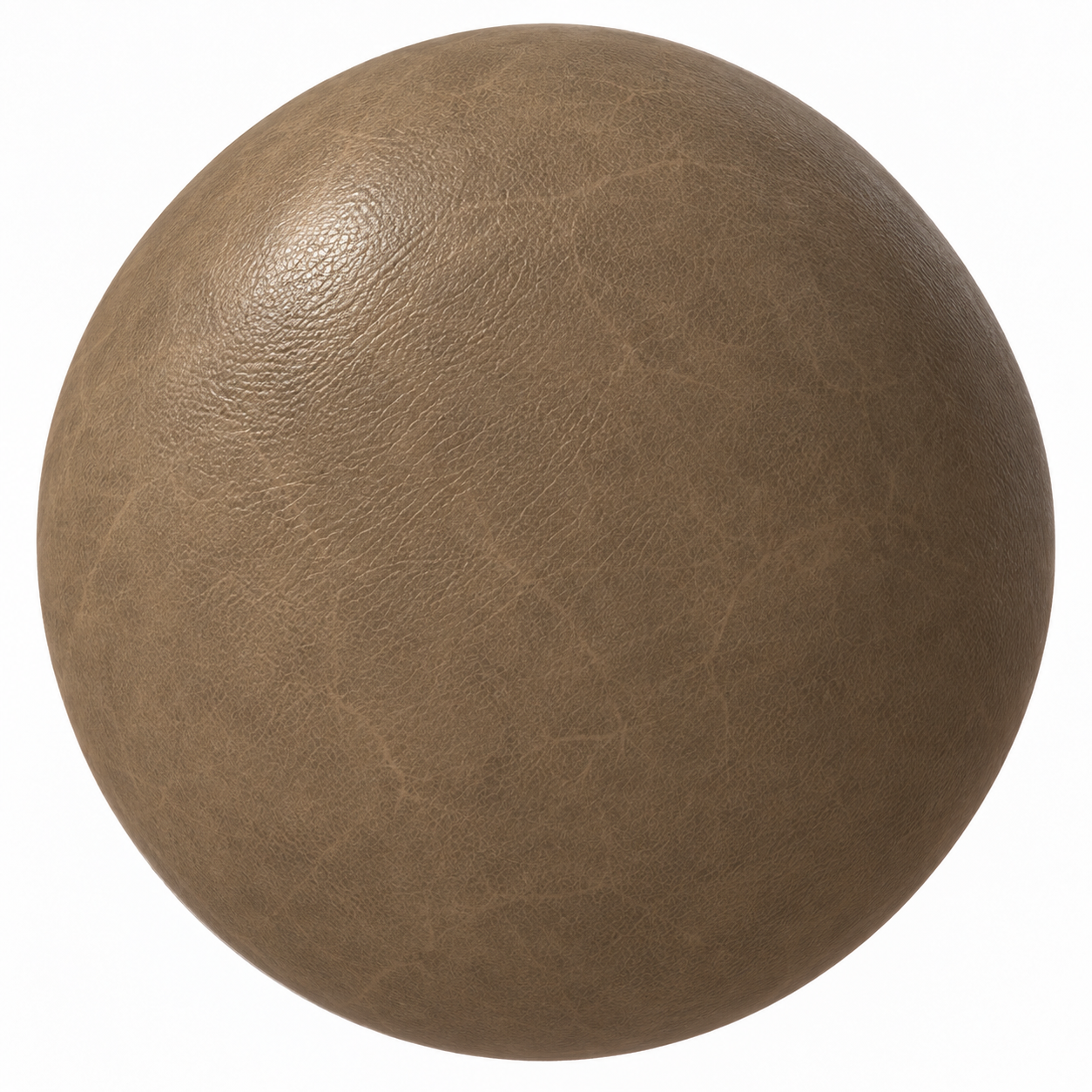 Warm Taupe Fine Grain Leather Texture