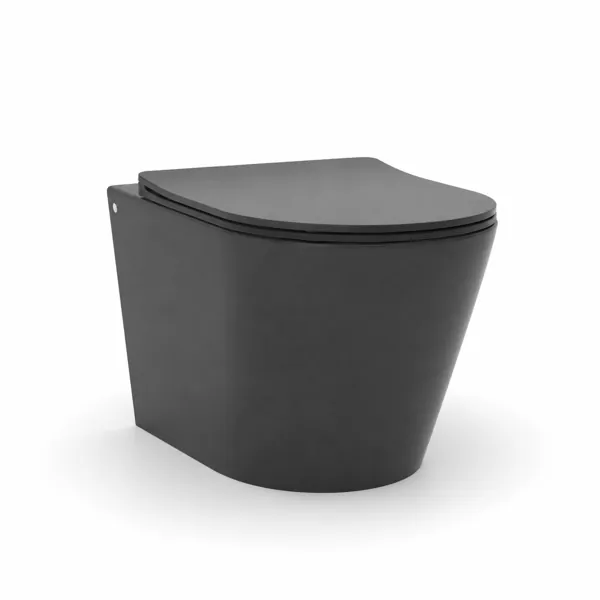 Charcoal Black Toilet – Rounded Front Profile 3D Model