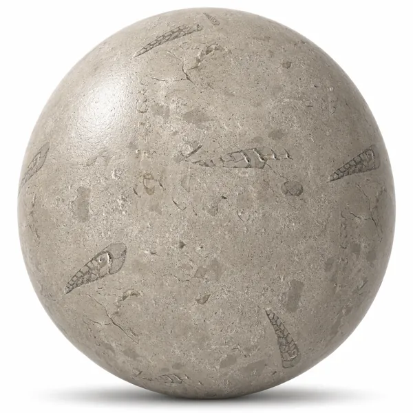 Shell Pattern Light Beige Fossil Marble Texture