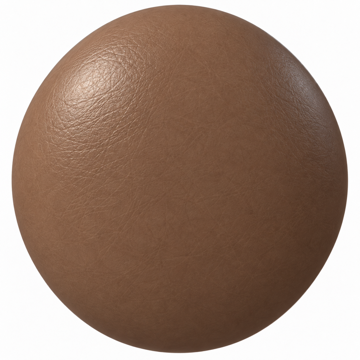 Warm Taupe Fine Grain Leather Texture 1