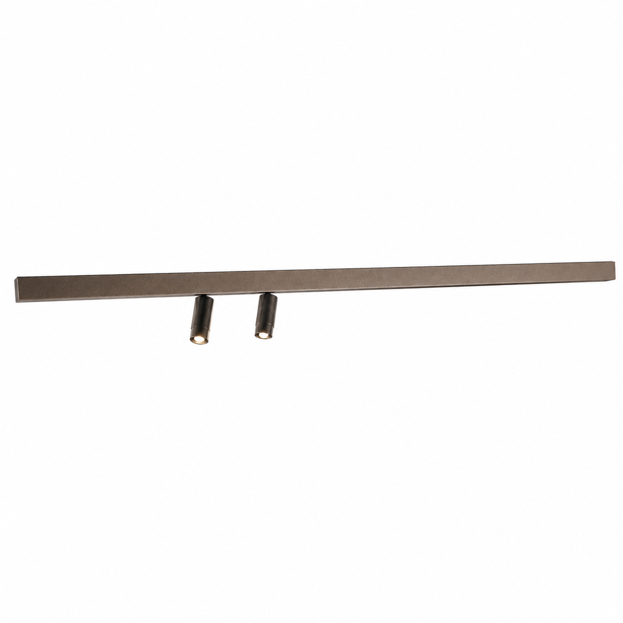 Bronze Linear Track Spot Light – Twin Angled Heads 3D Model 1