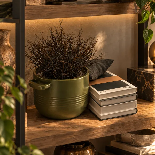 Vintage Books and Olive Green Planter Decor 3D Model back